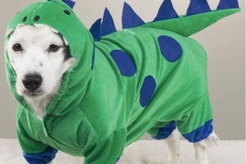 Nhung nghe hot bac nho ret dam hinh anh