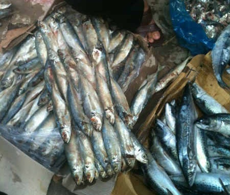 Ca nuc 'sieu re', vi sao? hinh anh