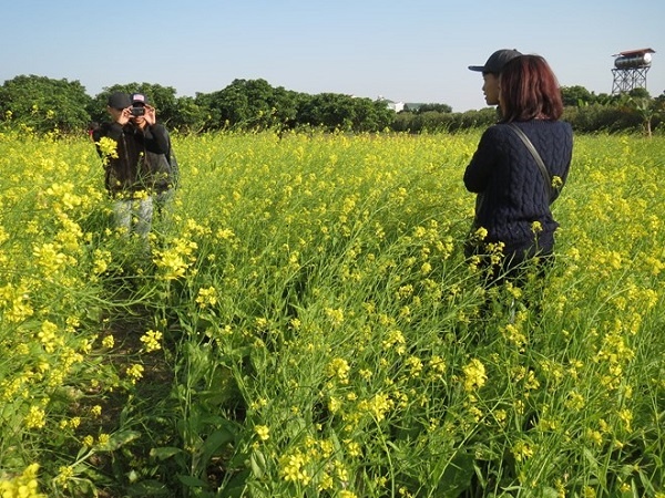 Kiem tien trieu moi ngay nho dich vu chup anh vuon cai hinh anh