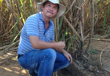 Tu thit bo Uc den duong cua bau Duc hinh anh