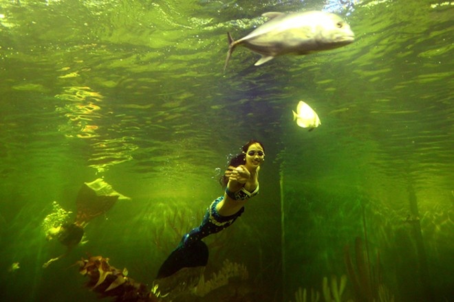 Ben trong thuy cung lon nhat Viet Nam hinh anh