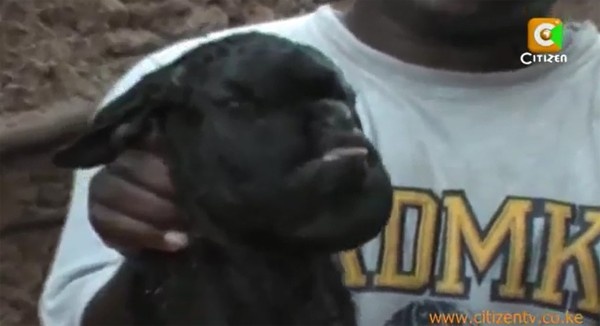 De mang khuon mat nguoi hinh anh