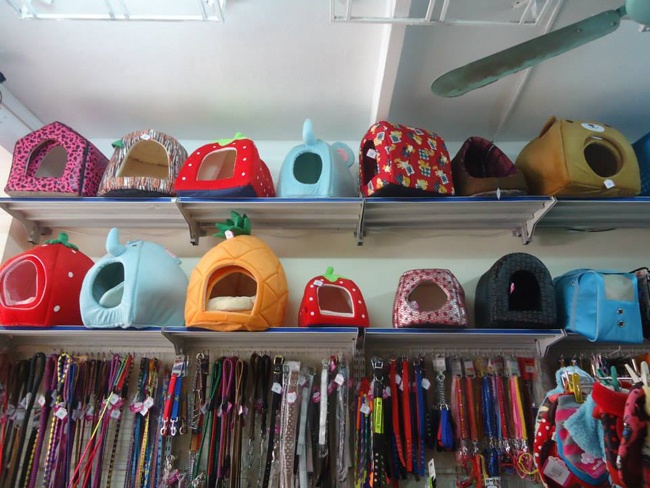 Chi tien trieu sam do chong ret cho thu cung hinh anh