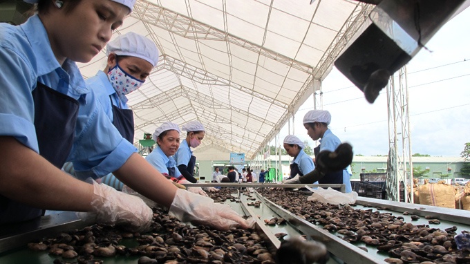 Se moi Walmart truc tiep mua hang Viet Nam hinh anh