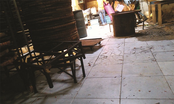 Kho heo co the bien thanh kho bo? hinh anh