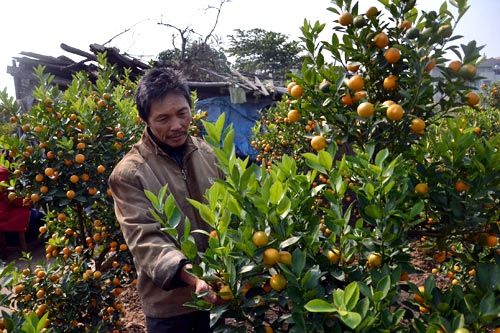 Quat the gia khung e khach hinh anh