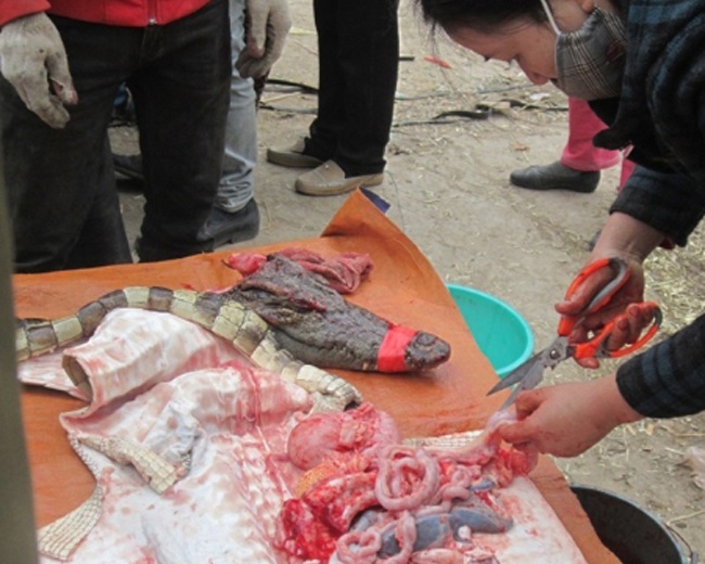 Thit ca sau dat nhu tom tuoi o cho Thu do hinh anh