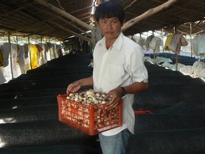 Nguoi thu nua ty dong/nam tu nam rom o mien Tay hinh anh