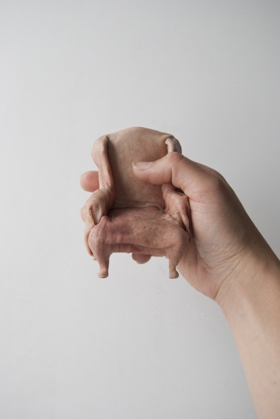 Nhung tac pham nghe thuat giong thit nguoi hinh anh