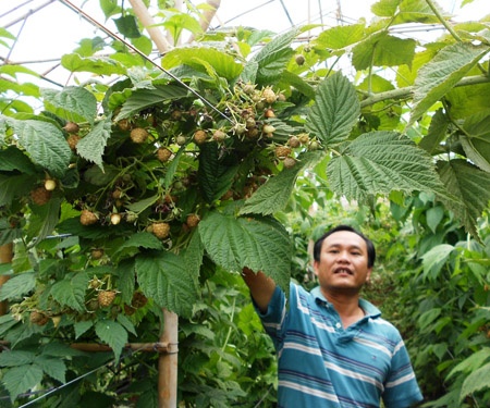 Thu tien ty tu phuc bon tu hinh anh