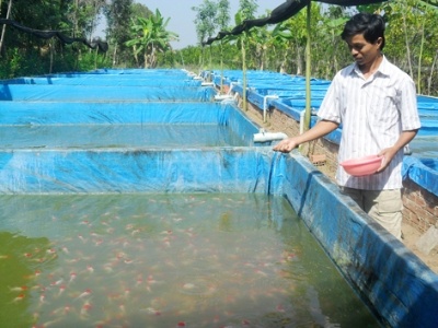Cu nhan ca kieng hinh anh