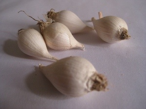 Toi mot nhanh gia hon nua trieu dong/kg khan hang hinh anh