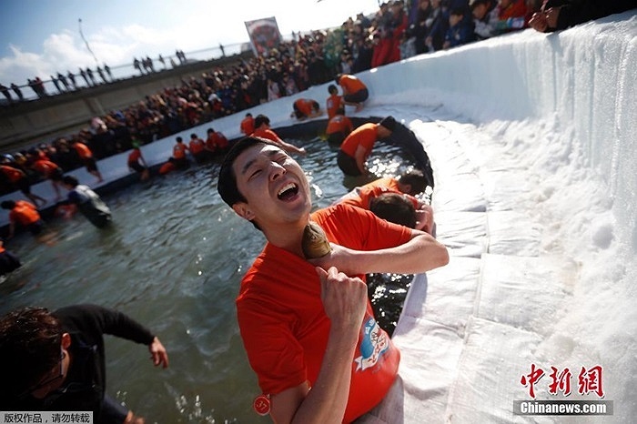 Le hoi cau ca tren bang o Han Quoc hinh anh