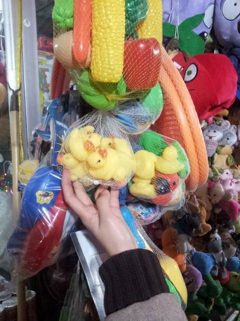 Vit cao su chua doc duoc ua chuong tai Viet Nam? hinh anh