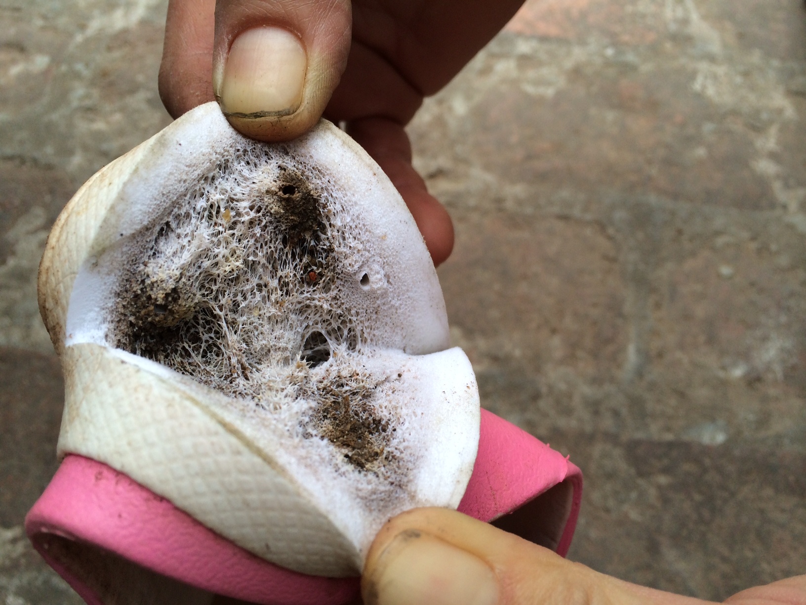 Nhung dau hieu la ben trong dep mem Trung Quoc hinh anh