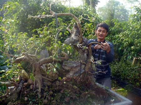 Nghe cat la ra tien va nhung nhat keo tien trieu hinh anh