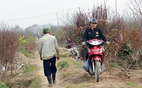 Dan bat dong san chay xe om kiem Tet hinh anh