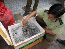 Bom rau cau vao tom cang xanh hinh anh