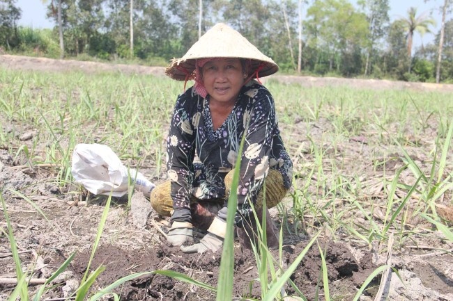 Nguoi trong mia xin o tu vi bai san hinh anh