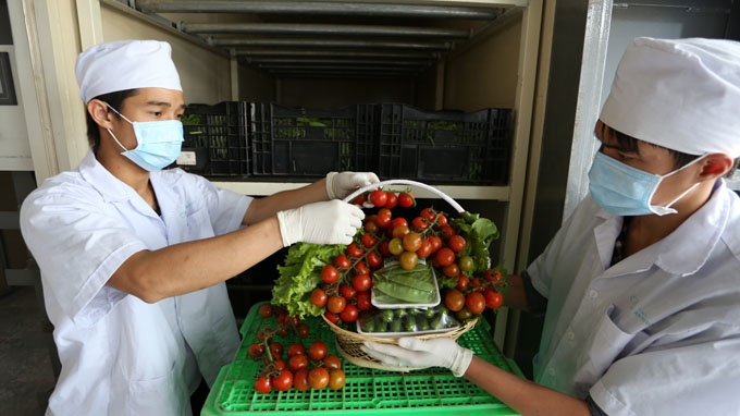 Rau Da Lat vao gio qua tet hinh anh