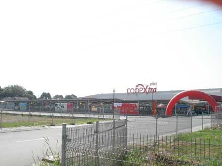 Mo cho hoa xuan o sieu thi hinh anh