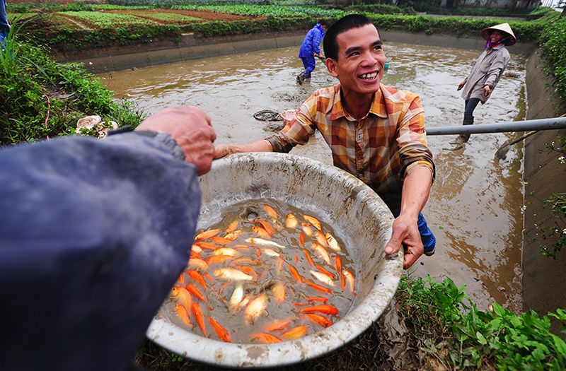Nguoi dan quang luoi bat ca chep do tien Tao quan chau troi hinh anh