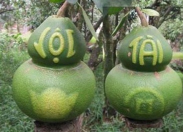 Buoi ho lo het hang truoc Tet hinh anh