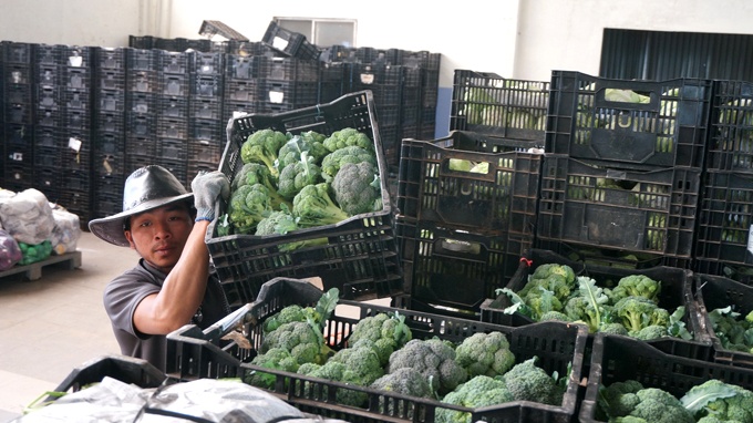 Khong lo thieu rau ngay Tet hinh anh