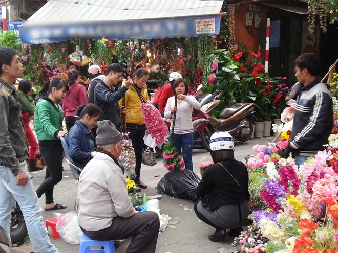 Hoa nhua dat khach, hang that e am hinh anh