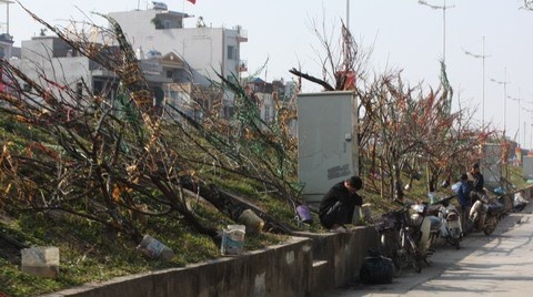 Quat the, dao co thu u ru 'dung duong' don khach hinh anh