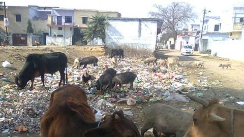 Dan An Do day quan chuc xuong bai rac hinh anh