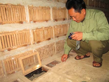 Lang nghe Vinh Son lao dao vi ran hinh anh