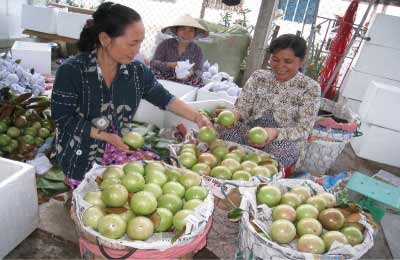 Vu sua Lo Ren duoc mua, gia cao hinh anh