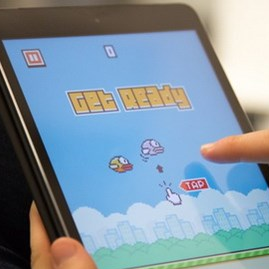 Flappy Bird: 'Nguoi Viet do ky, the gioi tung ho'? hinh anh