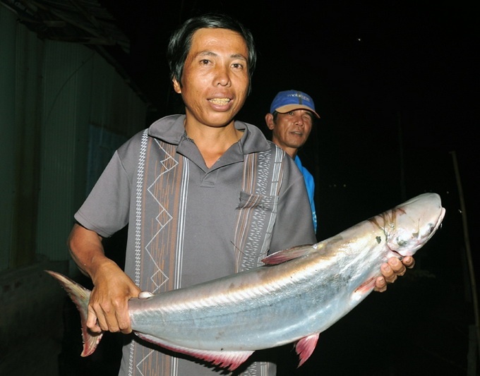 Ngu dan An Giang trung dam nhieu ca bong lau bac trieu hinh anh