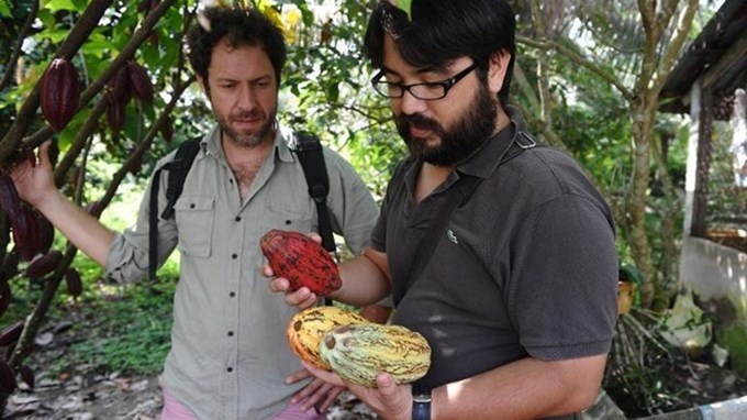 Hai doanh nhan Phap va vi ngot ngao cua chocolate Viet hinh anh