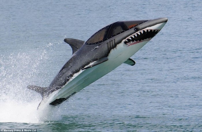 Nhung con ca map sat co gia gan 1,4 ty dong hinh anh