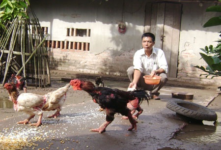 Ky cong chuyen san ga tien vua an Tet hinh anh