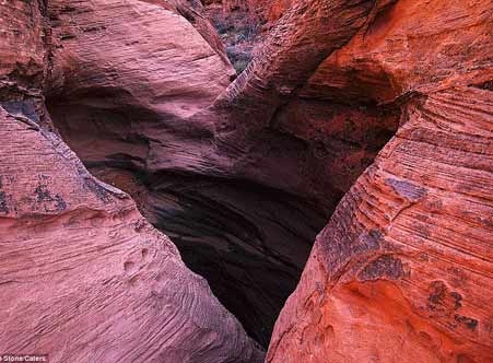 Nhung trai tim ky dieu cua thien nhien hinh anh