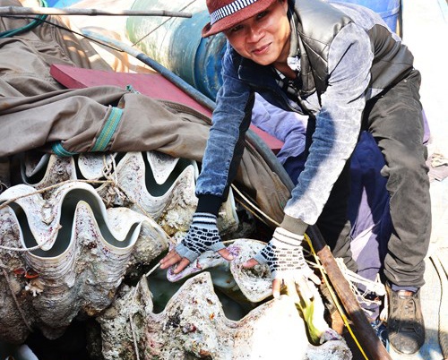 15 trieu mot con so tuong dai 1m o Quang Ngai hinh anh