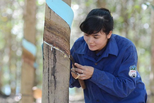 Hoang Anh Gia Lai kiem tien nhieu nhat tu dau? hinh anh