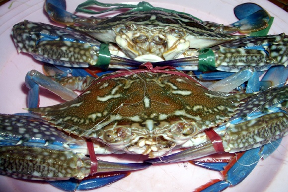 Mot ban giup, di cho ho cua chi em cong so hinh anh