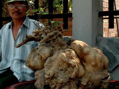 Cu khoai 38kg gia hon muoi trieu dong hinh anh