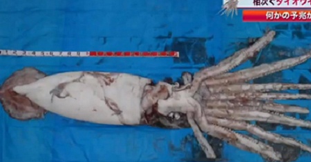 Muc ong khong lo lai xuat hien, dan Nhat lo so hinh anh