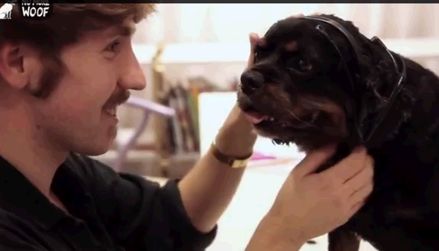 Cho da co the noi tieng nguoi! hinh anh