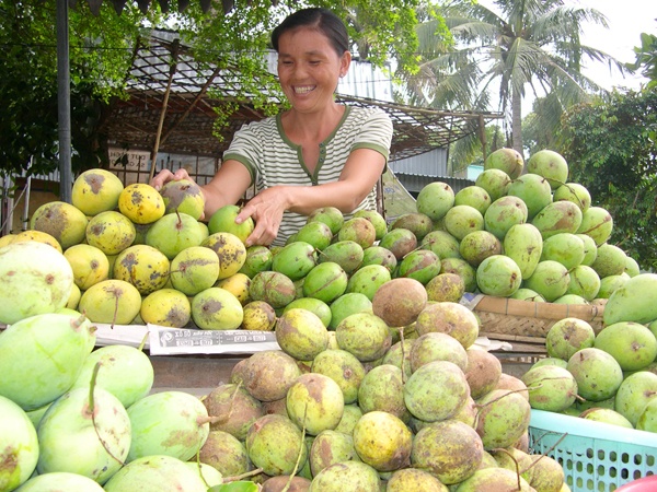 Xoai Campuchia ngap thi truong mien Tay hinh anh