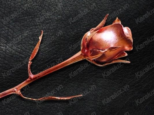 Qua doc 8/3: 6 trieu mot bong hong mau chocolate hinh anh