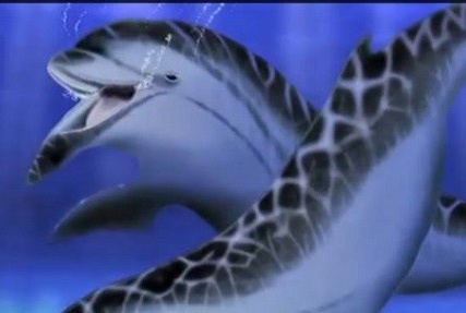 Ca heo 'lai' chuot co chiec cam dai chua tung thay hinh anh