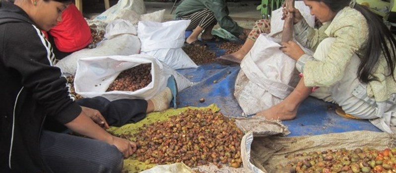 Thuong lai Trung Quoc lung mua hat may rung hinh anh