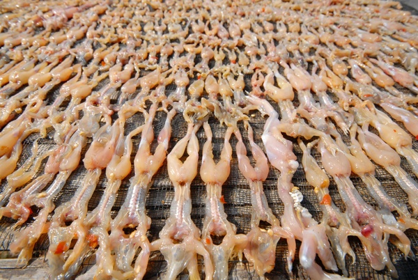 'Vu nu chan dai' giup dan Bay Nui thu bac trieu moi ngay hinh anh